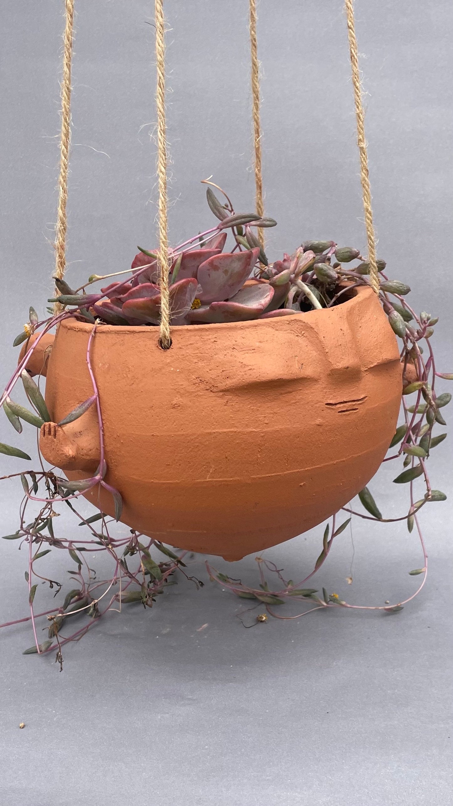 Potish volador patitas